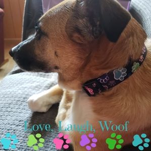 Meet your Posher, Gail